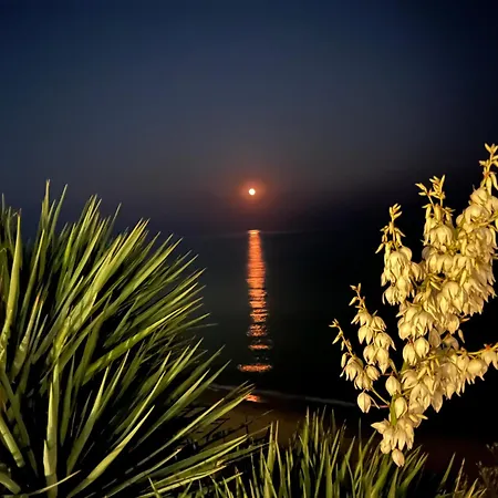 Апартамент Sun Wave Presige *