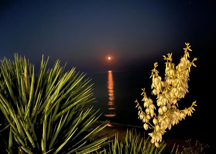 Апартамент Sun Wave Presige *