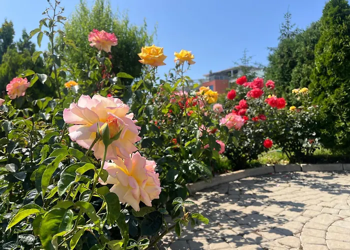 Sun Wave Presige Апартамент Свети Влас